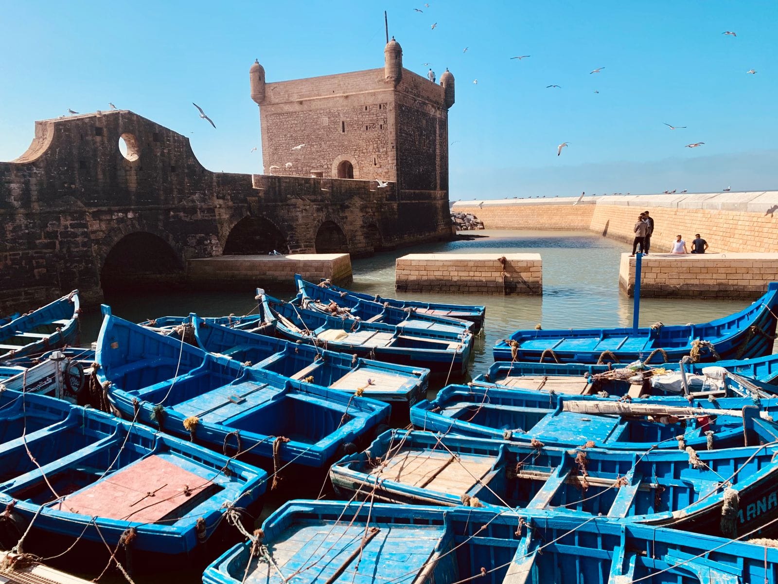 The harbour at Essaouira, rows of bright blue wooden fishing boats moored below the stone ramparts of the Skala du Port, gulls overhead