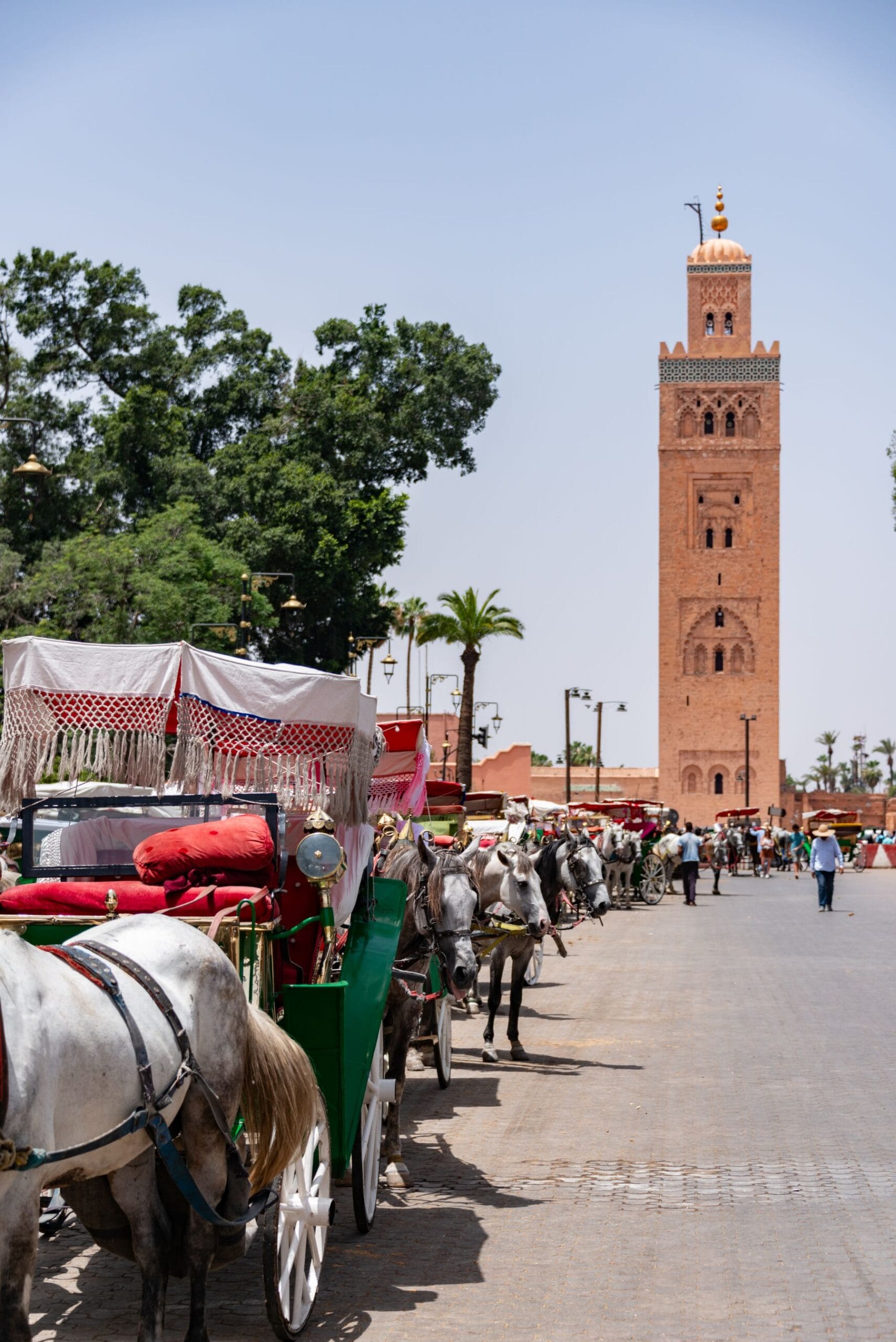 The Koutoubia minaret in Marrakech with horse drawn carriages waiting in the foreground