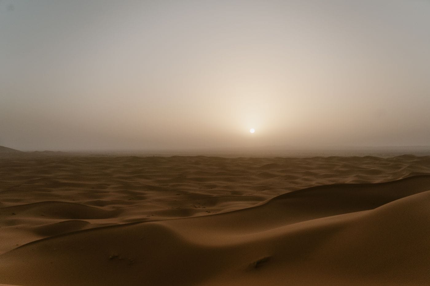 The Erg Chebbi dunes near Merzouga at low sun